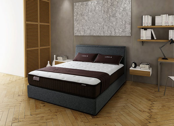 2543_dem_lo_xo_lien_a_cocoon_2__1_