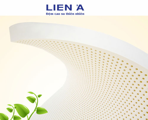 nệm cao su liên á classic