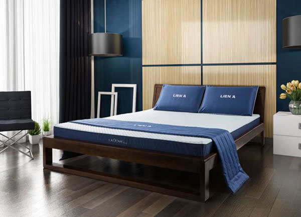 2550_dem_cao_su_lien_a_ladome_blue__1_